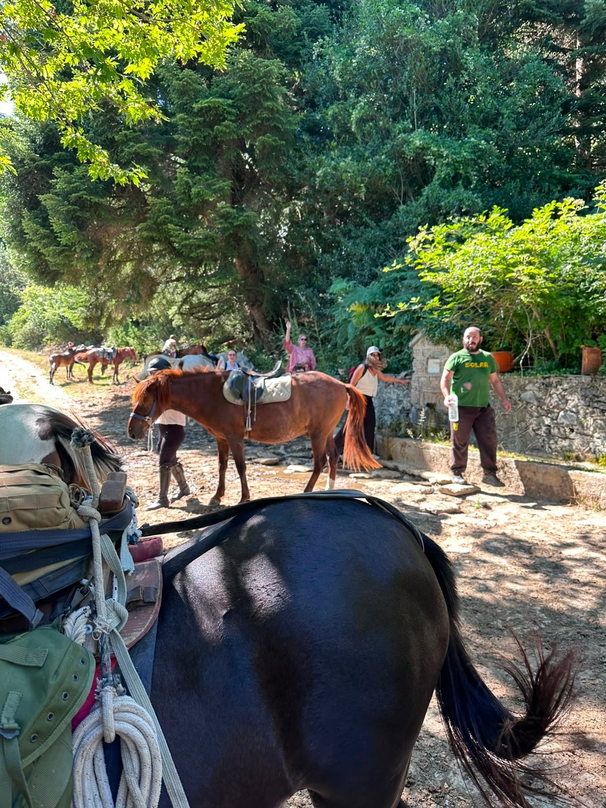 Εταιρική ομαδική εμπειρία στον Όλυμπο